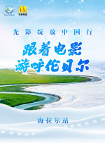 五月情视频在线观看